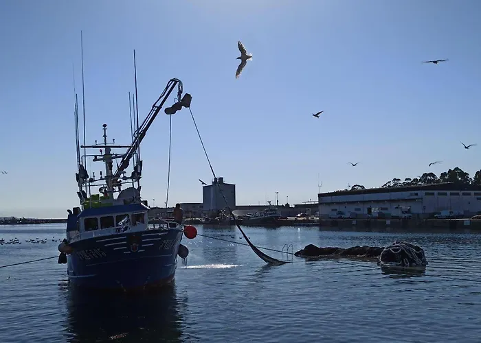 Paradise Vila Cambados